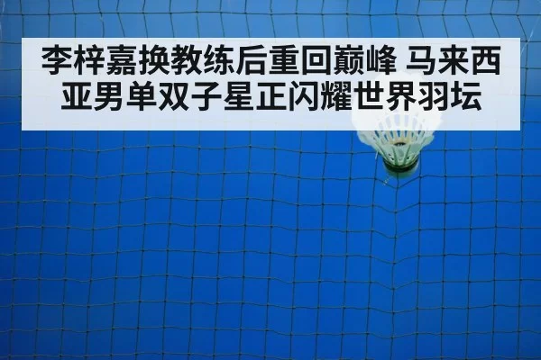 badminton training court